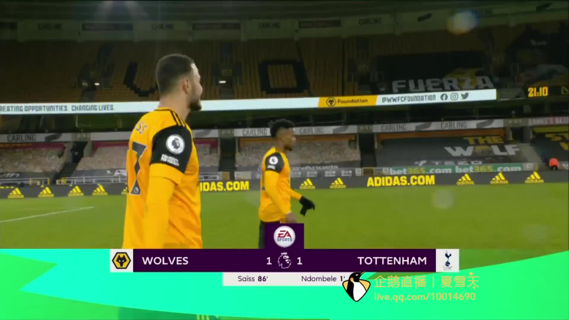 纳乔双星齐 纳乔双星齐